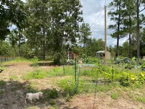 260 Whitetail Dr, Williston, SC 29853 photo 25