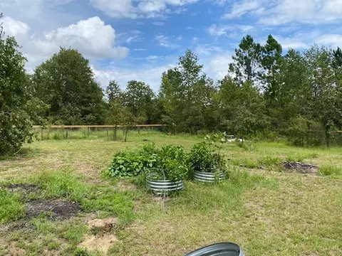 260 Whitetail Dr, Williston, SC 29853 photo 20