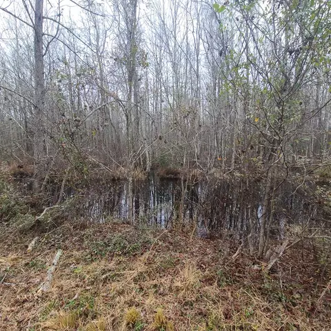600 Main St, Jackson, SC 29831 photo 11
