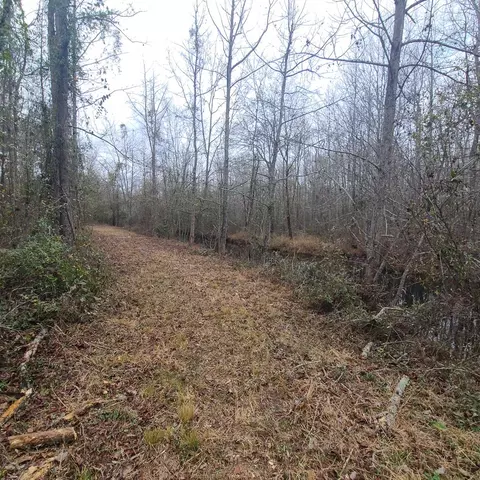 600 Main St, Jackson, SC 29831 photo 12