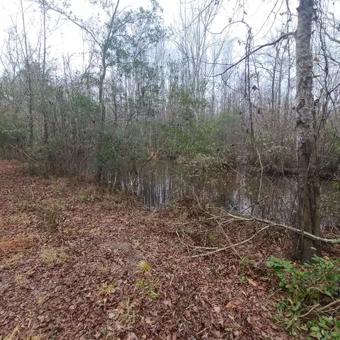 600 Main St, Jackson, SC 29831 photo 16