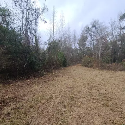 600 Main St, Jackson, SC 29831 photo 3