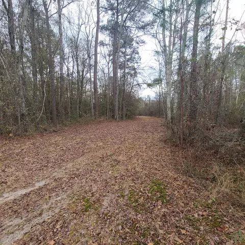 600 Main St, Jackson, SC 29831 photo 14