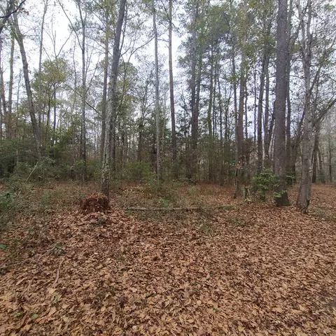 600 Main St, Jackson, SC 29831 photo 8