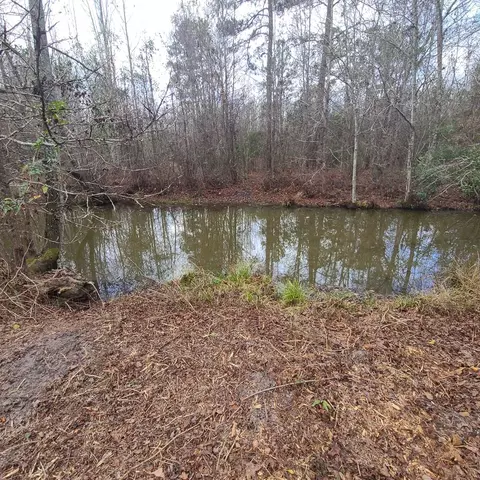 600 Main St, Jackson, SC 29831 photo 19