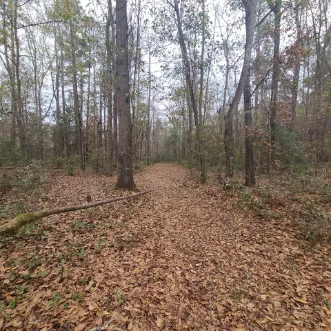 600 Main St, Jackson, SC 29831 photo 7