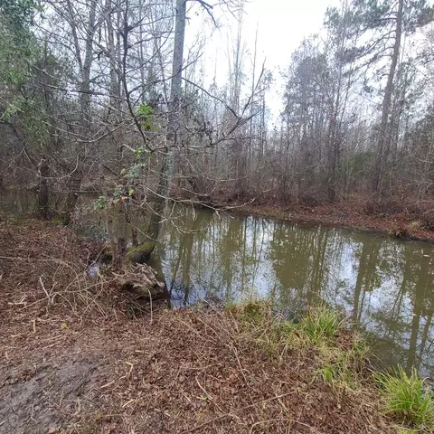 600 Main St, Jackson, SC 29831 photo 20