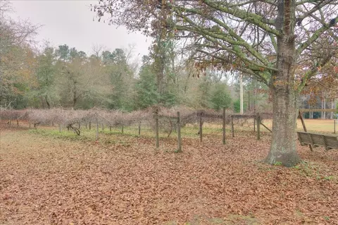 764 766 Blacks Dr, Williston, SC 29853 photo 67