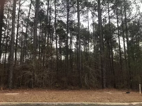 41 Ab Charnwood Forest Dr, Aiken, SC 29803