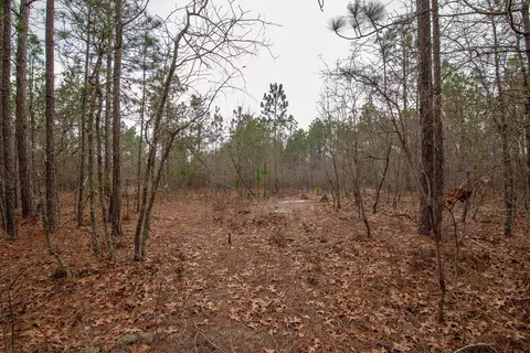 175 Cadle Crossing Rd, Windsor, SC 29856 photo 35