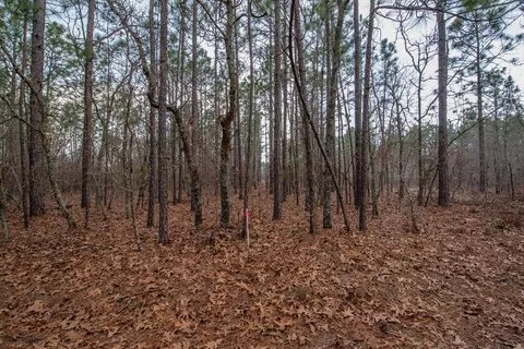 175 Cadle Crossing Rd, Windsor, SC 29856 photo 34