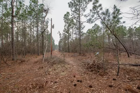 175 Cadle Crossing Rd, Windsor, SC 29856 photo 36