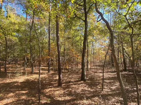 lot C Emerson Rd, Aiken, SC 29801