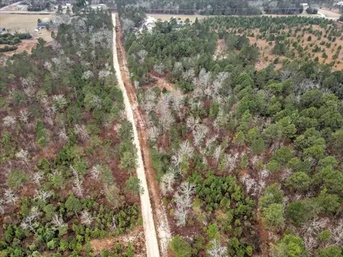 112 Kings Way, Monetta, SC 29105 photo 9
