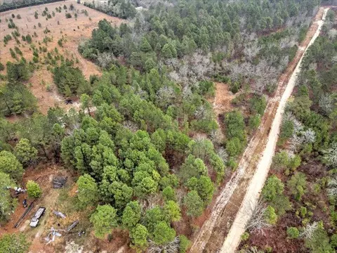 112 Kings Way, Monetta, SC 29105 photo 5