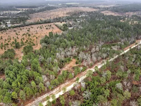 112 Kings Way, Monetta, SC 29105 photo 12
