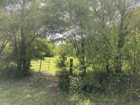 4074 Dunbarton Rd, Williston, SC 29853 photo 14
