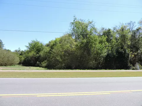 4074 Dunbarton Rd, Williston, SC 29853 photo 9