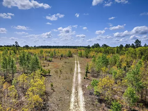 798 Windsor Rd, Windsor, SC 29856 photo 8
