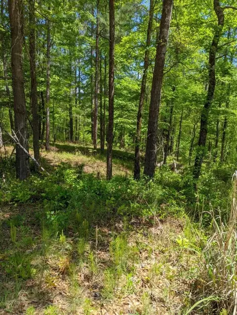 lot M-33 Captain Johnsons Dr, North Augusta, SC 29860