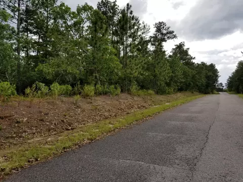 Parcel B Heritage Road, Edgefield, SC 29824
