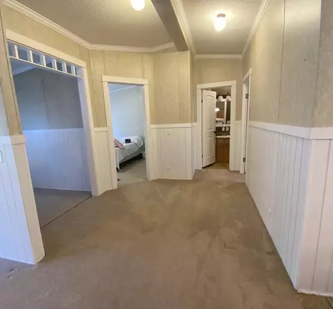1072 Cummings Rd, Ridge Spring, SC 29129 photo 6