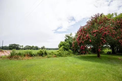 774 Old Olar Rd, Denmark, SC 29042 photo 21