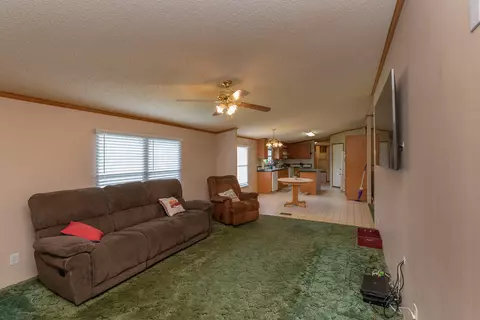 55 Double K Rd, Denmark, SC 29042 photo 21