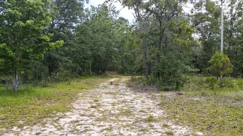174 Hard Luck Ln, Windsor, SC 29856 photo 3
