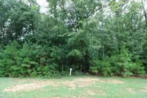 lot P-37 Eutaw Springs Trl, North Augusta, SC 29860