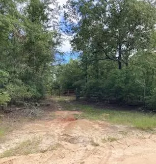 387 Long Cane Rd, Williston, SC 29853