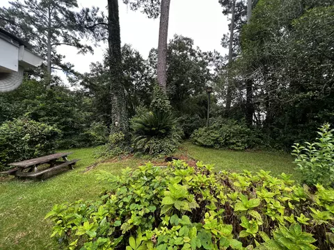 305 Maple St, Edgefield, SC 29824 photo 3