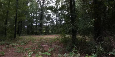 00 Bailey Cir, Jackson, SC 29831 photo 2