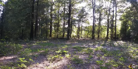 00 Bailey Cir, Jackson, SC 29831