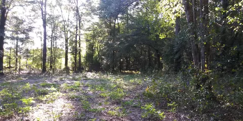00 Bailey Cir, Jackson, SC 29831 photo 3
