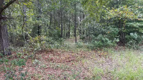 179 Jeffcoat Ln, Ridge Spring, SC 29129 photo 19