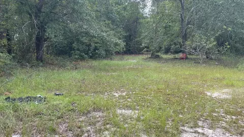 179 Jeffcoat Ln, Ridge Spring, SC 29129 photo 15