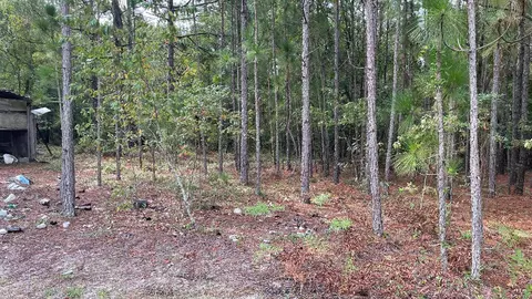 179 Jeffcoat Ln, Ridge Spring, SC 29129 photo 24