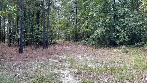 179 Jeffcoat Ln, Ridge Spring, SC 29129 photo 22
