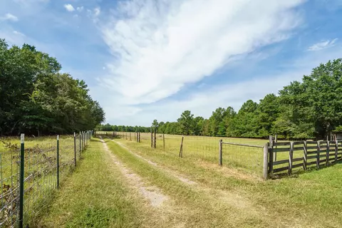 108 Webbs Pond Rd, Williston, SC 29853 photo 14