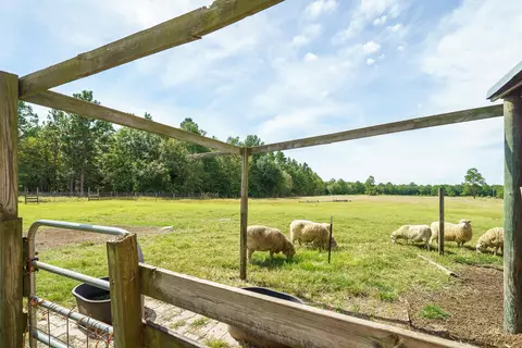 108 Webbs Pond Rd, Williston, SC 29853 photo 13