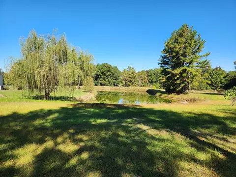 204 Georgia St, Springfield, SC 29146 photo 3