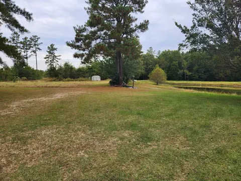 204 Georgia St, Springfield, SC 29146 photo 8