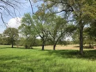 lot T-2 Burkelo Rd, Wagener, SC 29164
