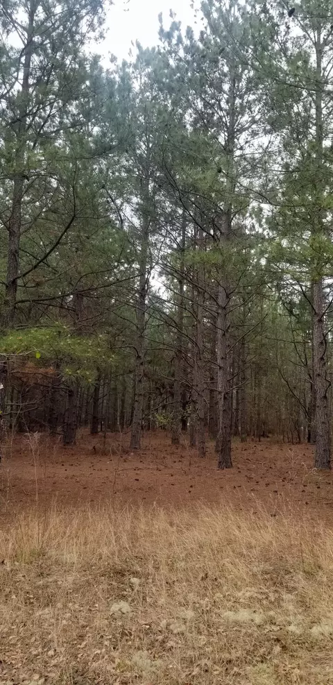 0 Hatchaway Bridge Rd, Aiken, SC 29801