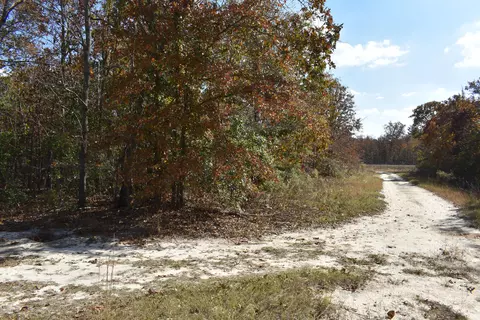 659 Live Oak Dr, Windsor, SC 29856 photo 2
