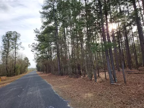 00 White Pond Rd, Williston, SC 29853 photo 5