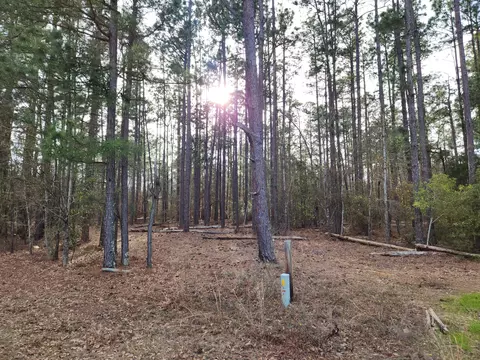00 White Pond Rd, Williston, SC 29853 photo 6