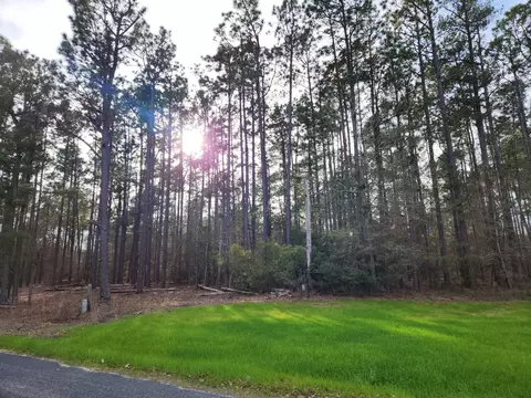 00 White Pond Rd, Williston, SC 29853 photo 7