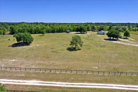 558 Pickett Post Rd, Windsor, SC 29856 photo 4